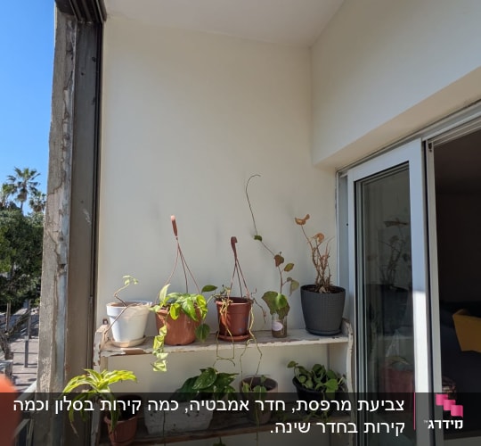 מדף עם עציצים במרפסת מוארת בשמש